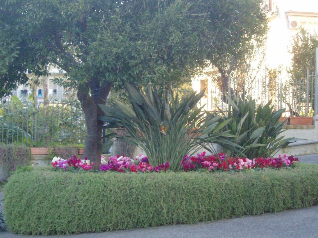 Miramare Aparthotel